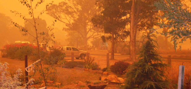 Tasmanian Bushfire Disaster Appeal