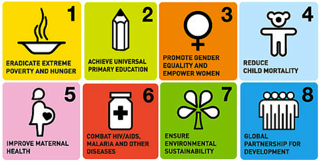 MDGs