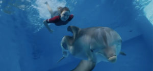 Dolphin Tale 2