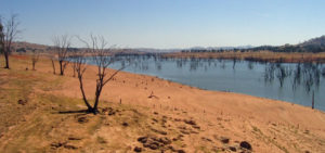 A transforming presence in the Murray Darling Basin