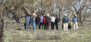 What is God doing with the Darling River?