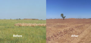 Volunteers on a mission to help drought-ravaged Queensland Farmers