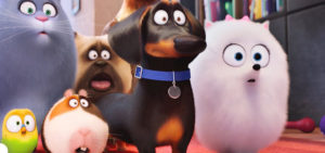 Should you care about the secret life of pets?