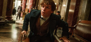 Fantastic beasts spin their magic