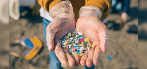 Next on the menu, microplastics