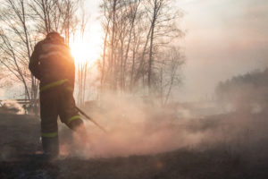 Recovery from fires-another perspective