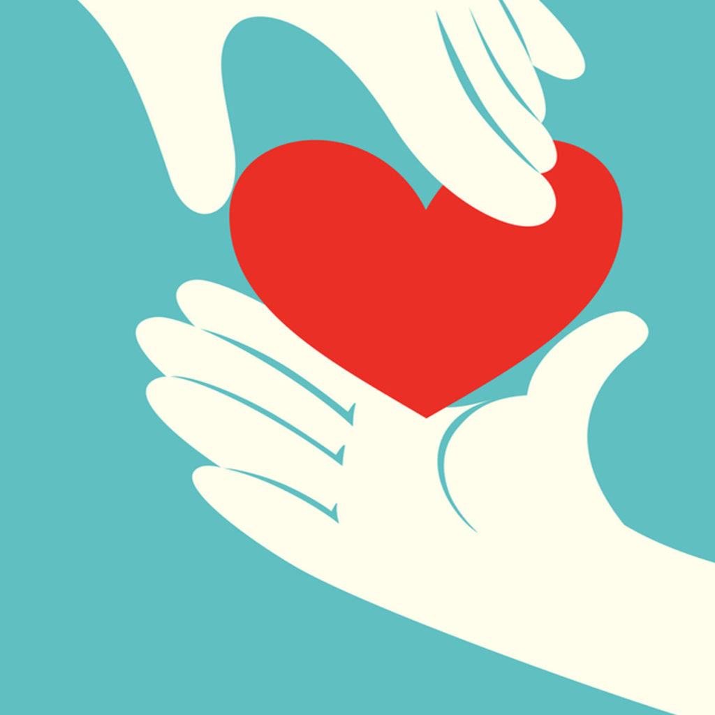 The Bountiful Eye Insights Magazine