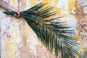 Why Palm Sunday matters