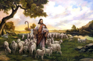 The Good Shepherd – A reflection on Psalm 23 and John 10:1-10