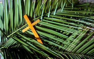 Palm Sunday Peace Rally Moves Online