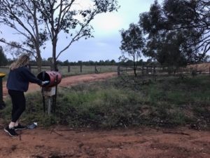 Staying connected: Dubbo has it in the bag