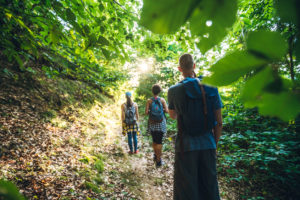 The wilderness is part of the journey