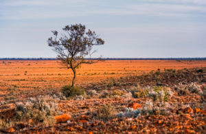 Saltbush a ‘Gathered in the Scattered Community’ experience