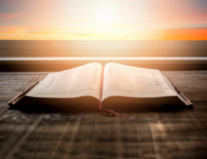 Opinion: No, the Bible wasn’t written for you