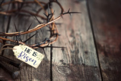 Jesus is Risen! Hallelujah! So why do we so often look for the living among the dead?  