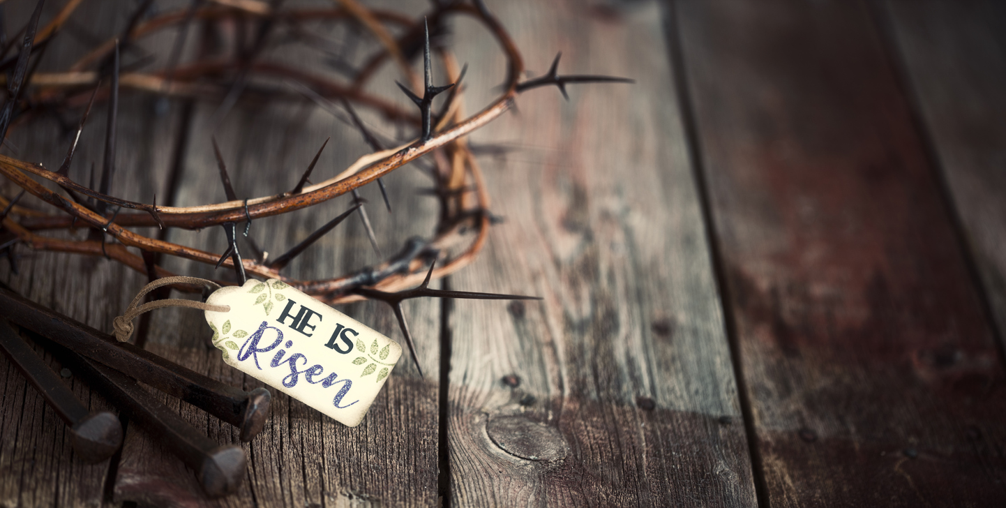 Jesus is Risen! Hallelujah! So why do we so often look for the living among the dead?