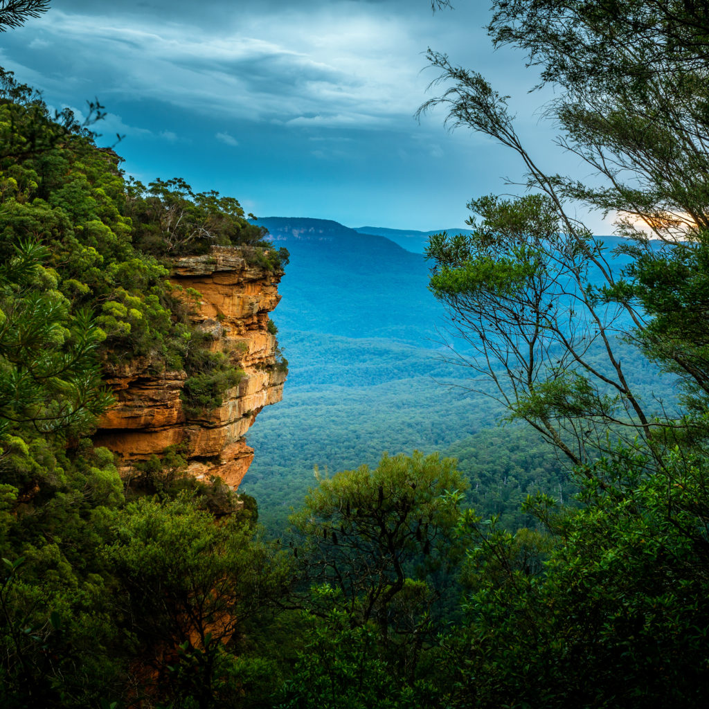 Journey through the wilderness – Insights Magazine