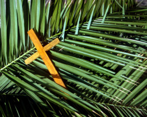 Palm Sunday Peace Rallies this weekend