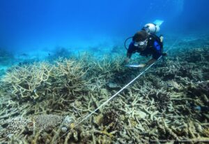 The $1 billion Great Barrier Reef funding is nonsensical and Australians deserve so much better