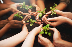 Growing the future of the Uniting Church through Seeds of Growth