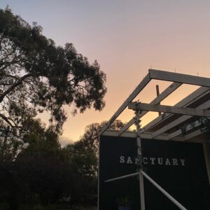 Transformed Sanctuary Launches