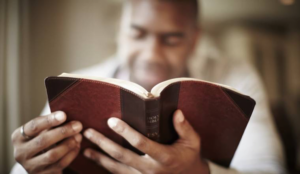 Hearing Scripture’s diverse voices