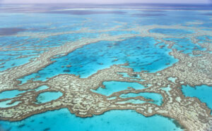 Record coral cover doesn’t necessarily mean the Great Barrier Reef is in good health (despite what you may have heard)