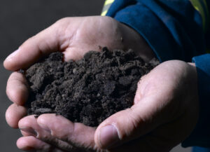 Soil: The hidden part of the ecological crisis