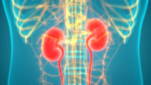 New Treatment Guidelines Unveiled for First Nations People living with Kidney Disease