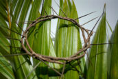 April: Are we willing to follow Jesus?