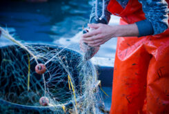 Sustainable seafood is the way this Easter