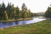 What hope is there for the ecological crisis?
