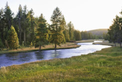 What hope is there for the ecological crisis?