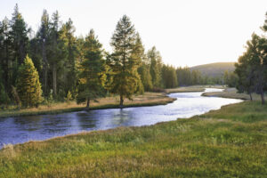 What hope is there for the ecological crisis?