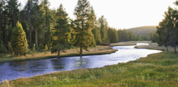 What hope is there for the ecological crisis?