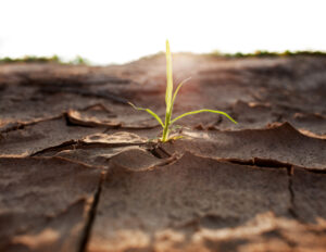 Appetite for action on climate and environment obvious at UCAN forum