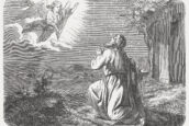 “In you all the families of the earth shall be blessed” (Gen 12; Pentecost 2A)