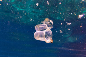 QLD, SA, and WA to ban more plastic from 1 September