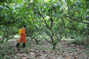 How Ethical Is Your Easter Chocolate?