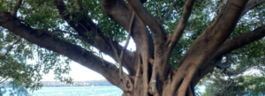 Personal Things I Learned While Church Planting 