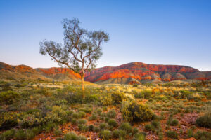 Pitt Street Uniting Church hosts Listening to Country series