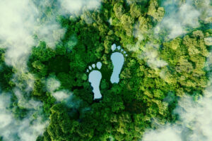 Ways to improve your environmental footprint