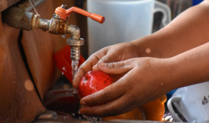 Global water scarcity is on the rise