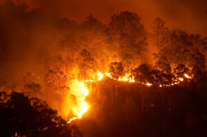 Incorporating Indigenous practices into understanding bushfires
