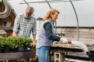 Nurturing the Seed of Faith