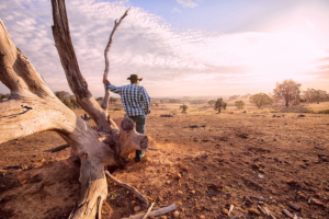 Warm summer predicted as bush fire season officially commences
