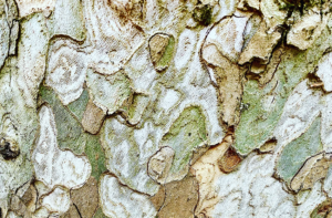 Finding Treasure in the “in-between” Spaces