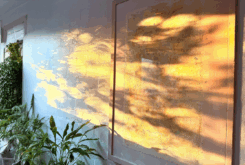 Everyday rituals to soften us
