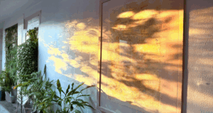 Everyday rituals to soften us