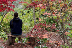 The bliss of a quieter ego
